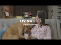 ALL ABOUT LIVING WITH BLOODHOUNDS の動画、YouTube動画。