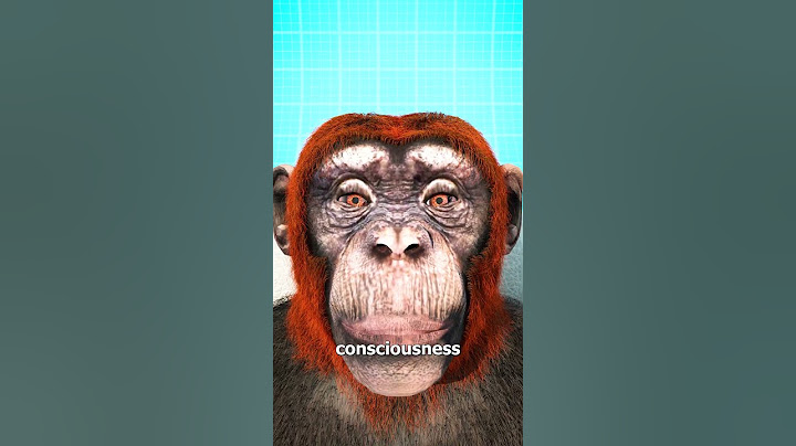 Monkey Head Transplant 🐒 (explained)