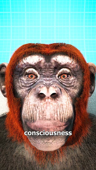 Monkey Head Transplant 🐒 (explained)