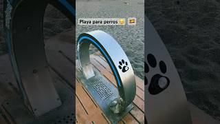 Lo que es el primer mundo 🇪🇸 #shortvideo #viral #españa #playa #perros #mascotas