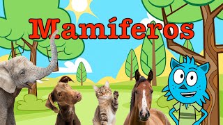 🌟 Descubre el Mundo Animal 🐾: Mamíferos, Aves, Reptiles, Anfibios y Peces 🐄🦉🐢 Aprende con diversión! 🌟 Descubre el Mundo Animal 🐾: Mamíferos, Aves, Reptiles, Anfibios y Peces 🐄🦉🐢 Aprende con diversión!