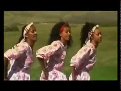 Jaagamaa Taaddalaa Lookoo Bulloo Oromo Music