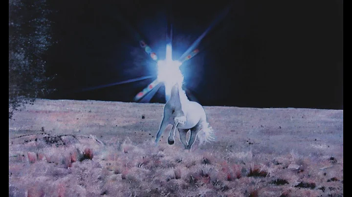 Home Is Where The Art Is: A short film by Michael ...