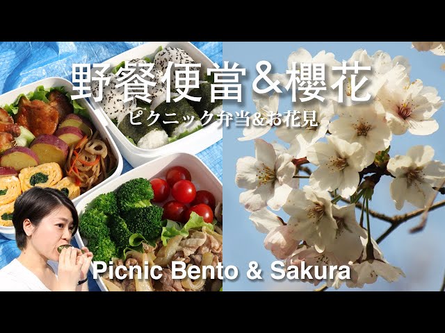 野餐便當 | お花見弁当 | Picnic Bento