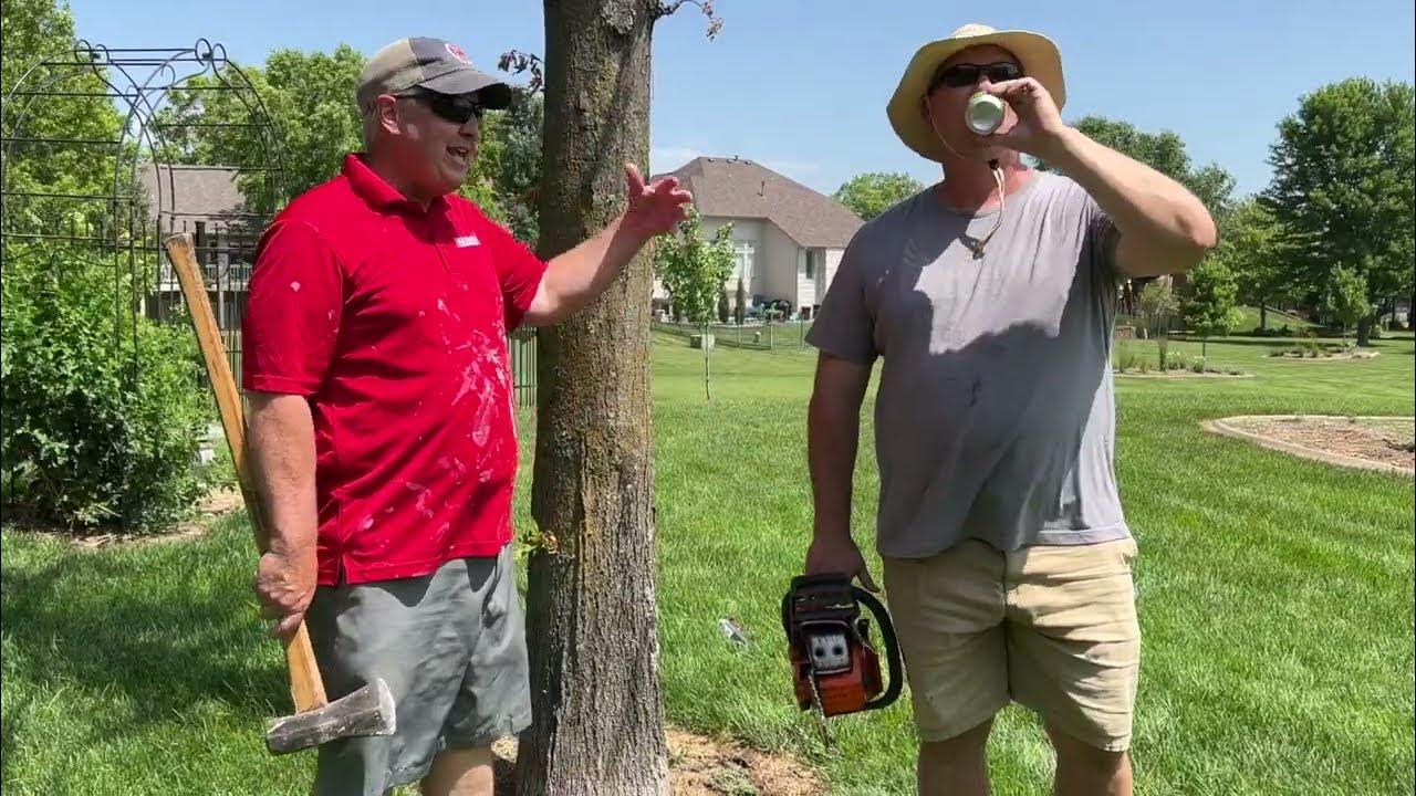 Cutting Down a Tree 101 YouTube