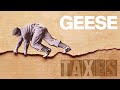 Geese Taxes