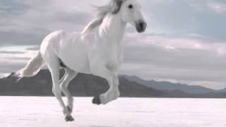 Official Huawei  Ascend P1  Commercial