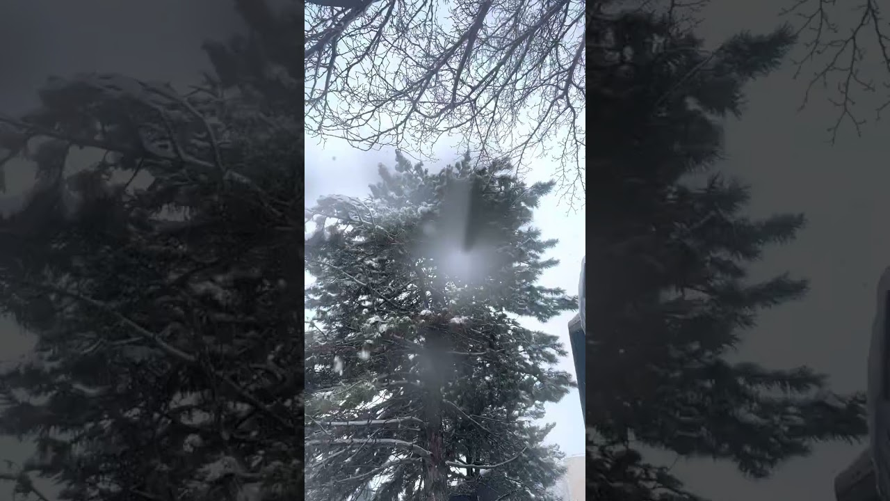 Sounds of rain and snow 👍👍