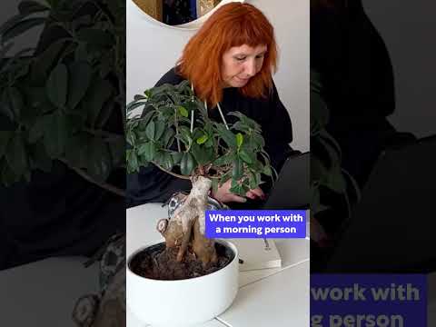 Morning People Are Built Different