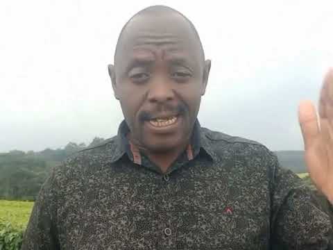 Wanandi Wanandi Wanandi