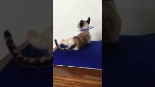 IMG 3022