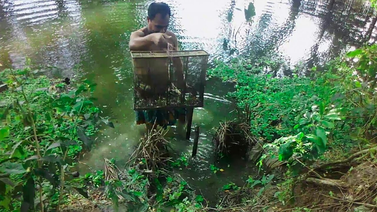 Underwater Fishing Trap | Traditional Fishing Trap With Bamboo Cage