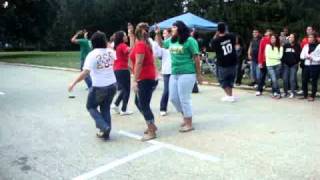 Alpha Psi Lambda Gamma Chapter Stroll