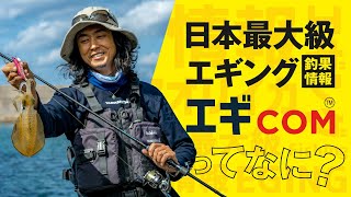エギCOM引田釣果情報│日本最大級のイカ釣り情報を誇る25万人利用の