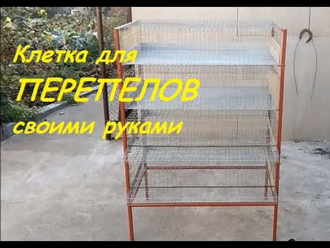 Современная откормочная клетка: находка кроликовода