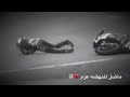 لا ياوكت لا ياوكت    نجومي