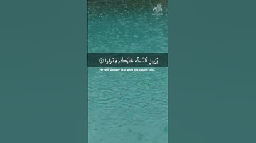 فقلت استغفروا ربكم إنه كان غفارا سورة نوح بصوت خالد الجليل