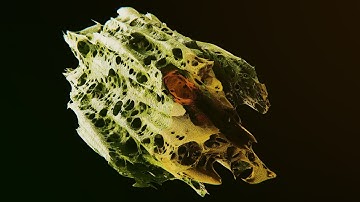 Organic object made in Blender - 4K HDR