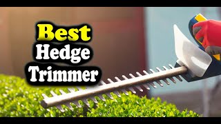 Best Hedge Trimmer Consumer Reports