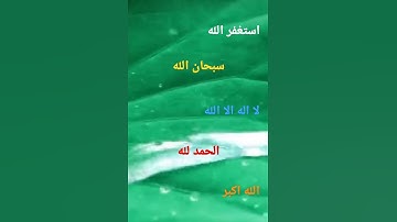 بسم الله الرحمن الرحيم القارئ سعيد دباح