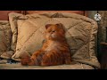 Garfield Tamil comedy part 4
