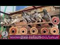 All pigeons for sale watch in urdu hind faisalmeer pakistanpigeonassociation pigeonlover