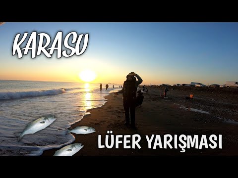 Karasu Lüfer Yarışması