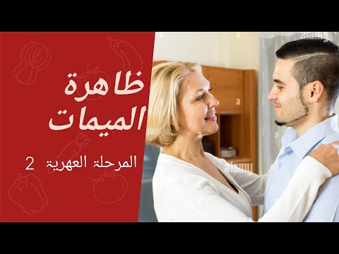 المرحلة العهرية الثانية بعد مرحلة الحاءط