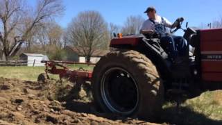 Plowing with IH 3088