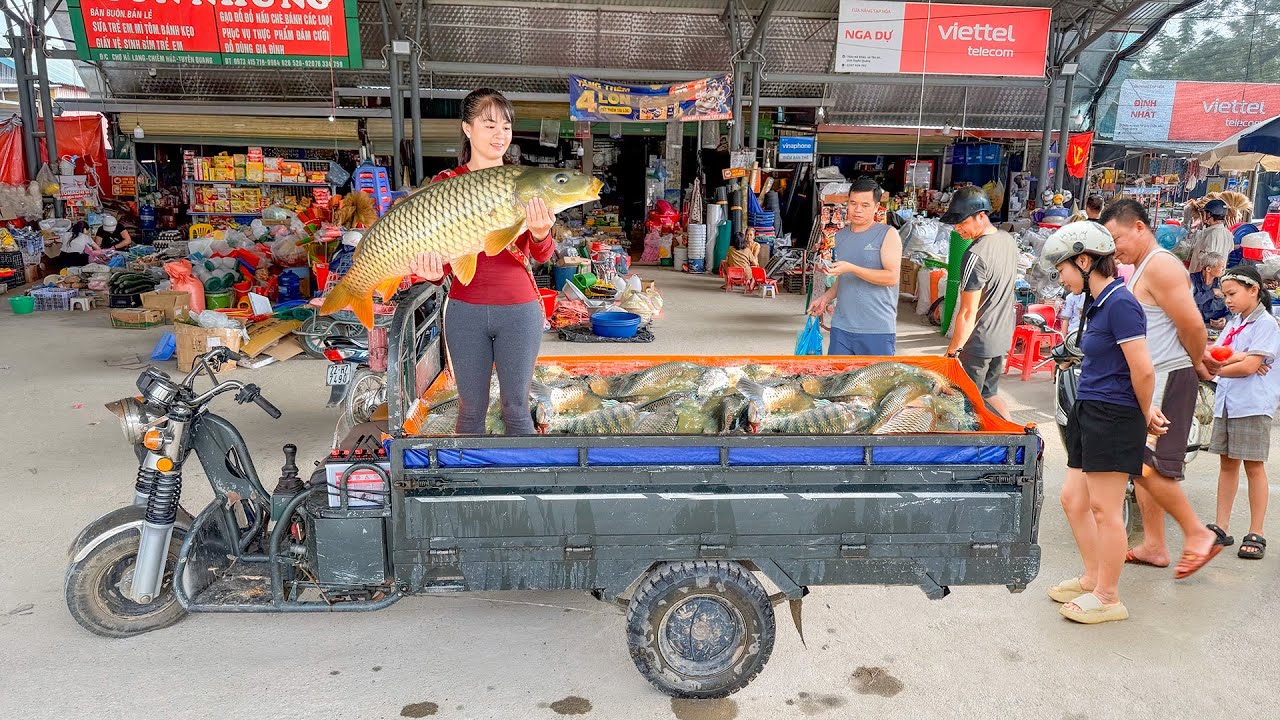 Buy A Lot Of Carp From Villager Pull Net To Harvest Fish, Use 3-Wheeled Truck Transport Fish To Sell