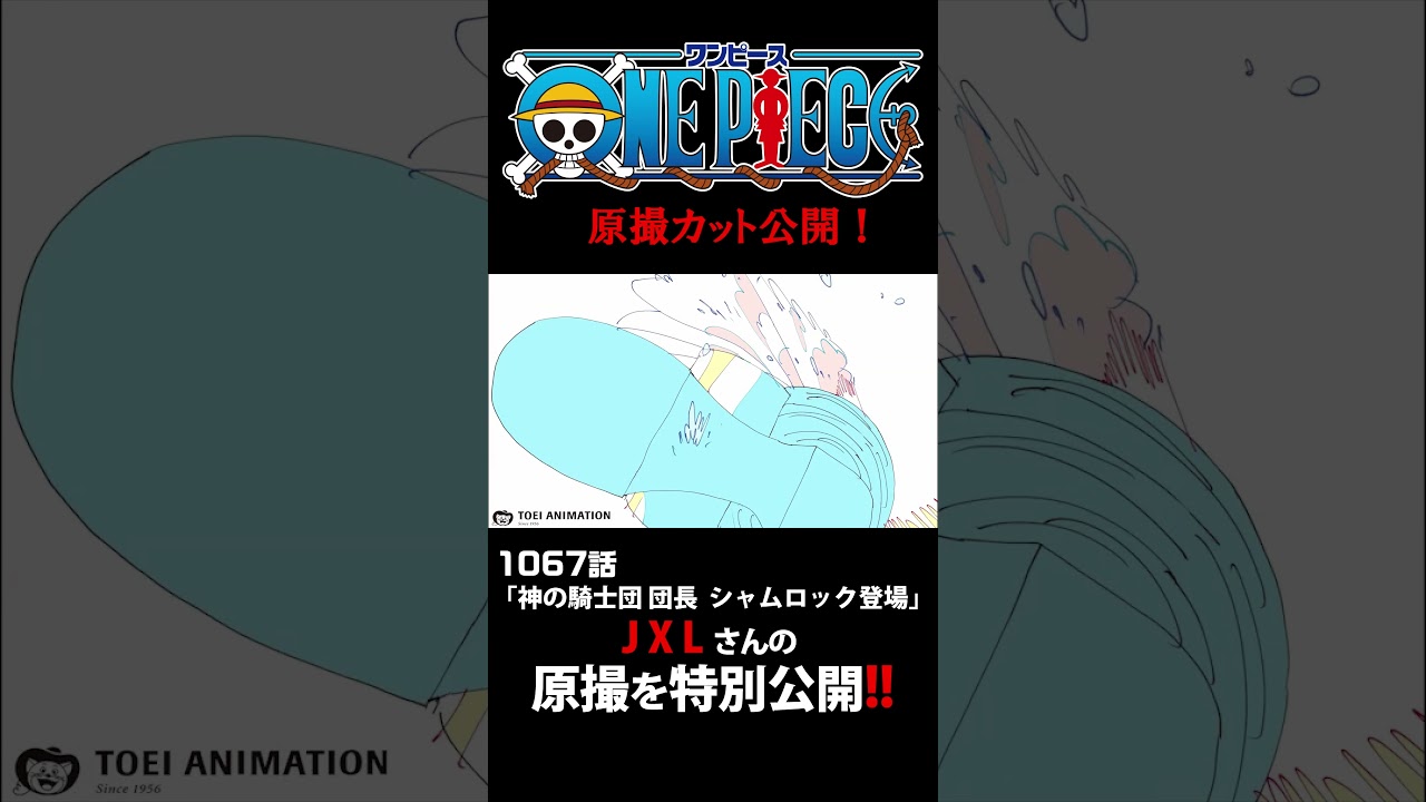 アニメ「#ONEPIECE」見放題配信への追加は木曜日‼️1167話‼️ #onepiece #原撮