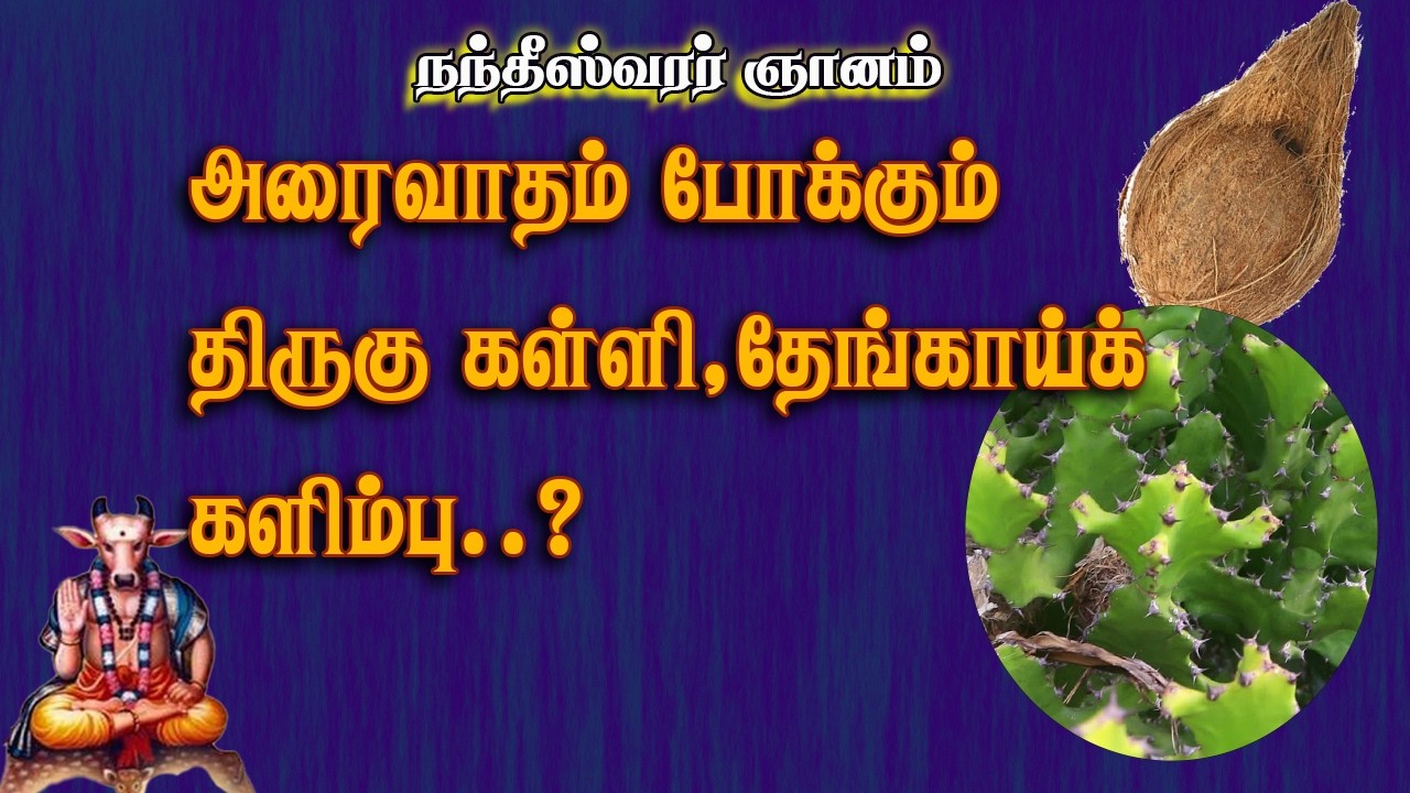 நந்தீசர்.16-கால் வாதம்  போக்க திருகள்ளிக் களிம்பு