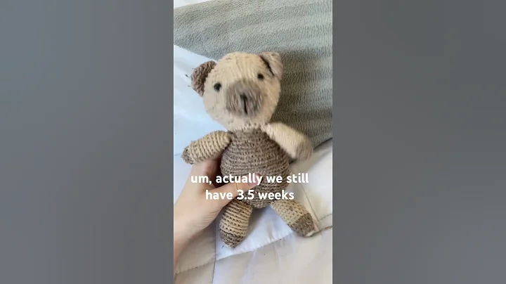 not long now #shorts #content #sirbeanz