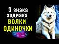 3 ЗНАКА ЗОДИАКА ВОЛКИ ОДИНОЧКИ