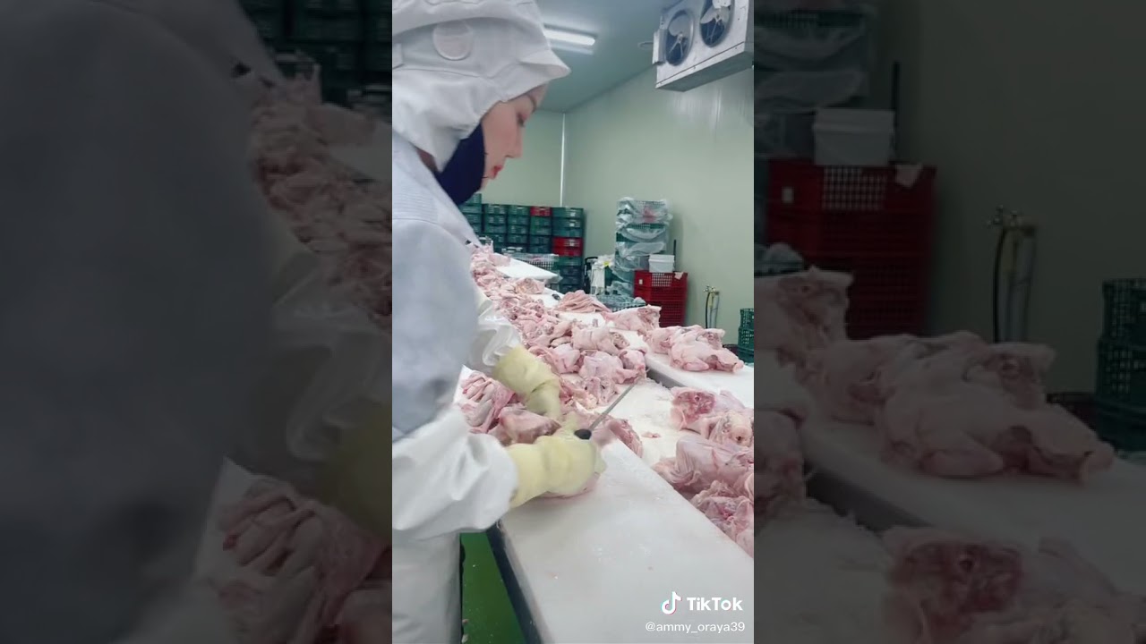 ทำงานโรงงานไก่ในเกาหลี
