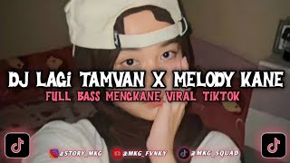 DJ KETAMPANAN INI SUNGGUH MENYIKSAKU || DJ LAGI TAMVAN X MELODY KANE VIRAL TIKTOK🎶