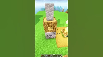 Minecraft Pig Roast 🐖🔥