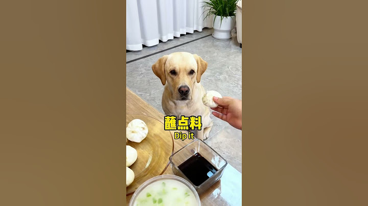 【旺仔很忙🐶Wangzai is busy】狗子吃点东西能有多讲究A dog can be so particular about what he eats.