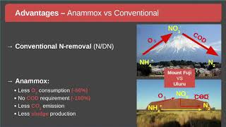 Webinar: Anammox Scale-Up at Luggage Point STP - A Glowing New Development for Wastewater Treatment
