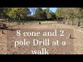 Beginner Riding Pattern with 8 cones and 2 Poles at a walk - Outside leg and turning drills