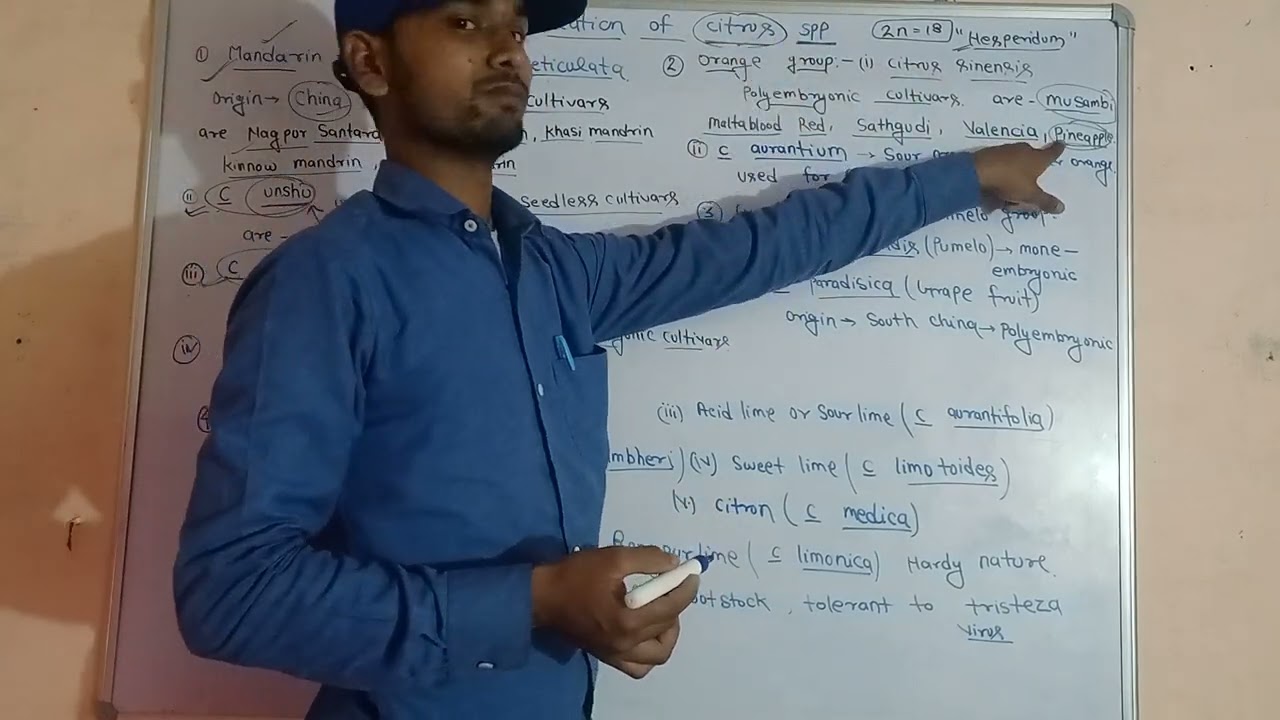 Classification of citrus species||Cultivation of citrus||Cultivation of horticultural crops