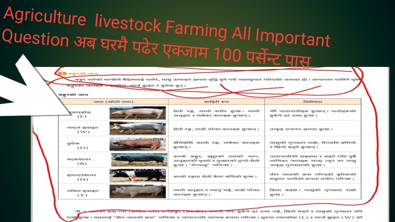 Agriculture live Stock Farming  All Important Question For  ssw Exams....... japan