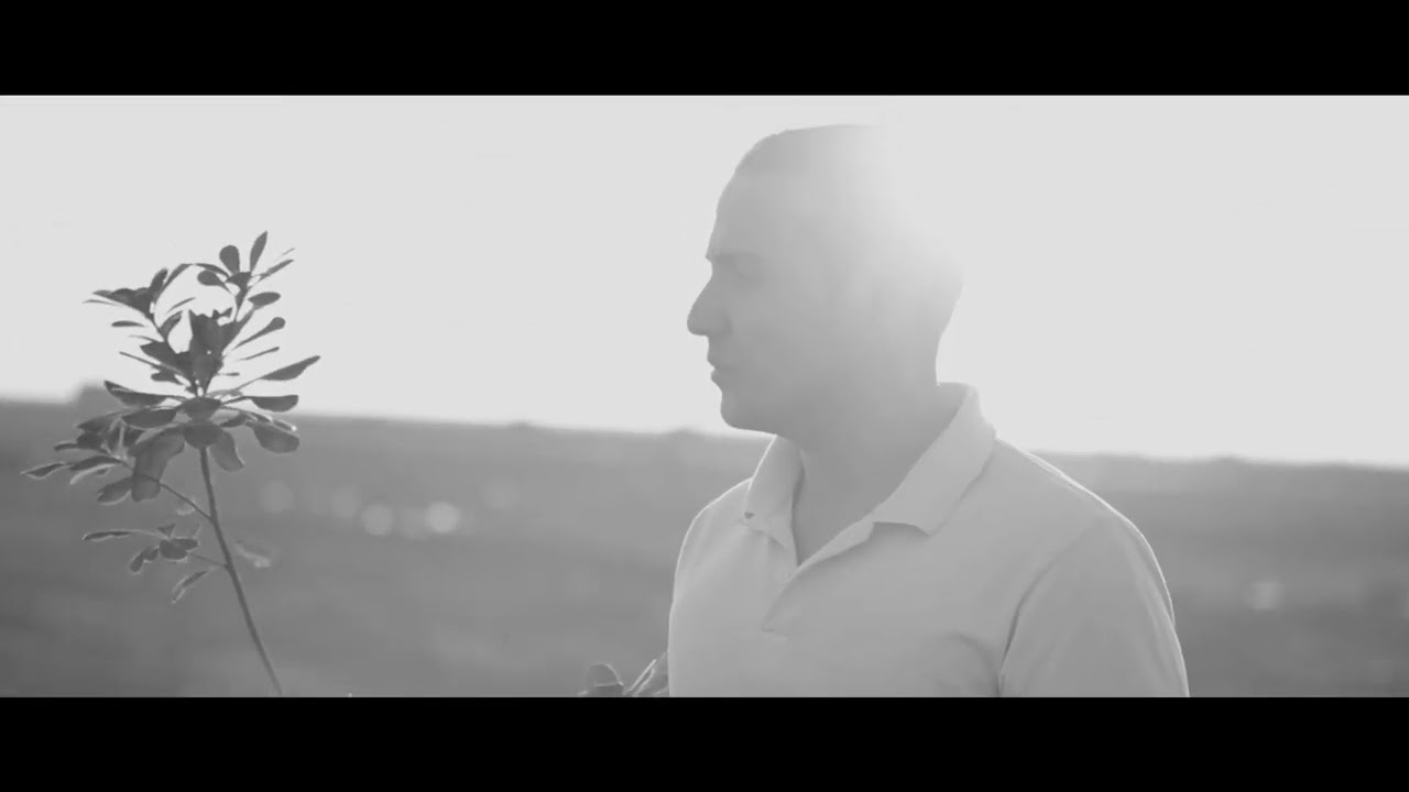 Mehrtaak-derakhtane Faghir مهرتاک-درختان فقیر