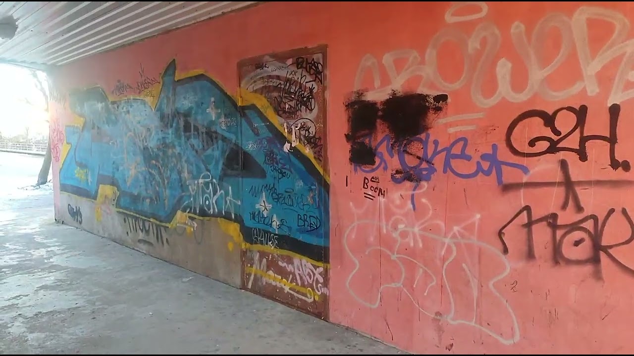 #kaliningradlife #cat госпожа вы не к нему