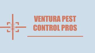 Ventura Pest Control Pros - Bed Bug Control Service in  Ventura CA