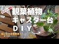 【観葉植物DIY】観葉植物キャスター台／ダイソーで簡単にDIY／ダイソー100均すのこがピッタリサイズ