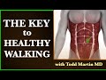 How to walk betteruse your belly button with todd martin md