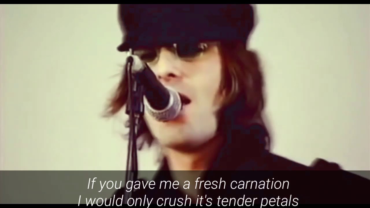Oasis Carnation (Lyrics) YouTube