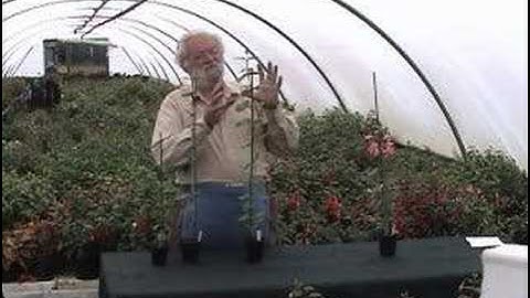 Producing a Fuchsia Standard