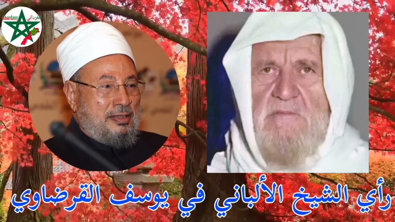رأي الشيخ الألباني في يوسف القرضاوي
